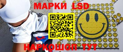 индика Кулебаки